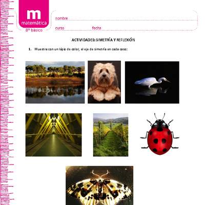 Simetría y reflexión Simetría y reflexión