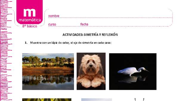 Simetría y reflexión Simetría y reflexión
