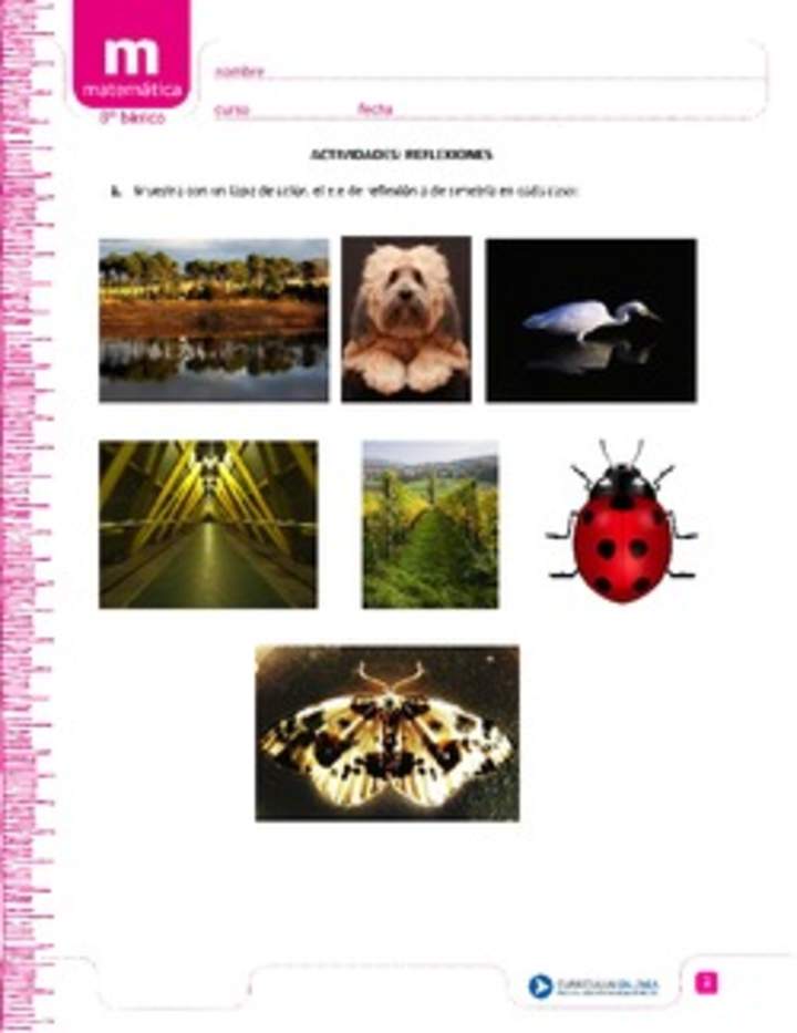 Simetría y reflexión Simetría y reflexión