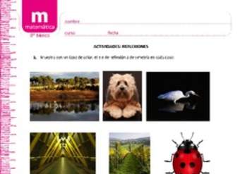 Simetría y reflexión Simetría y reflexión