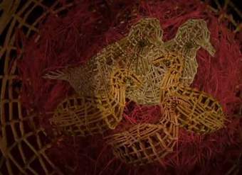 Los gorrioncitos Los gorrioncitos