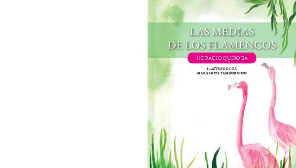 Las medias de los flamencos Las medias de los flamencos
