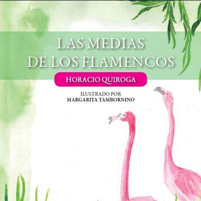 Las medias de los flamencos Las medias de los flamencos