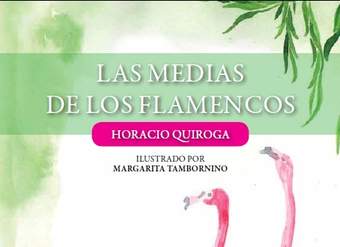 Las medias de los flamencos Las medias de los flamencos