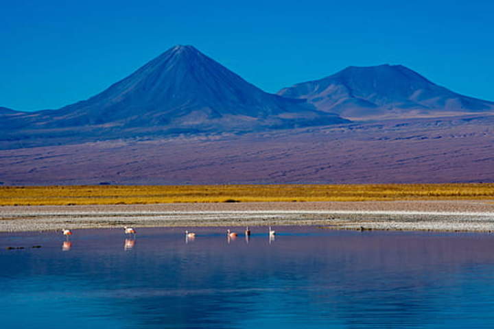 Laguna altiplánica Socaire Laguna altiplánica Socaire