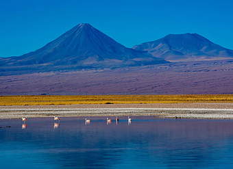 Laguna altiplánica Socaire Laguna altiplánica Socaire