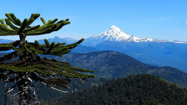Santuario el Cañi Pucón Santuario el Cañi Pucón