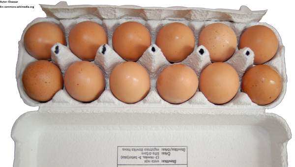 Caja de cartón con huevos Caja de cartón con huevos