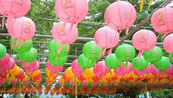 Pantalla para ampolleta de papel