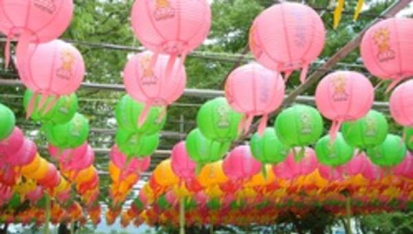 Pantalla para ampolleta de papel Pantalla para ampolleta de papel