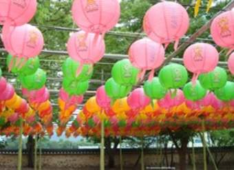 Pantalla para ampolleta de papel