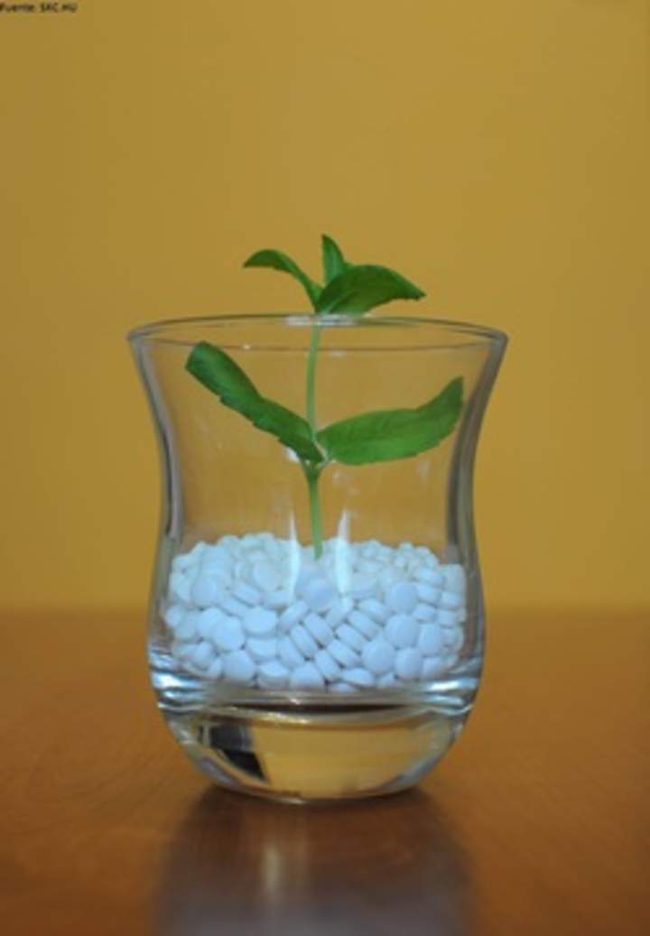 Jarro de vidrio Jarro de vidrio