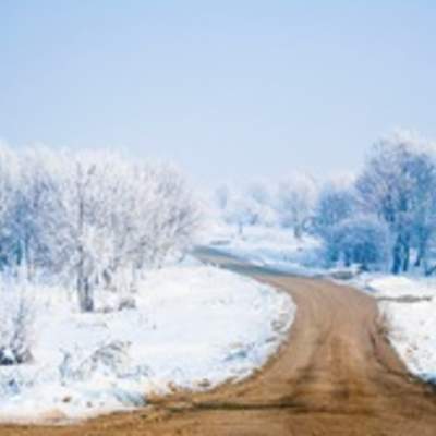 Paisaje nevado Paisaje nevado