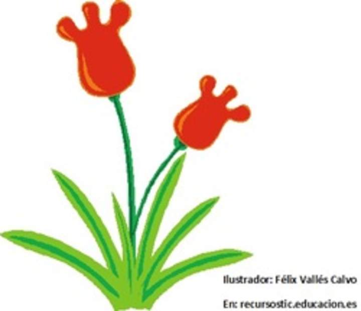 Planta con flor sin rotular Planta con flor sin rotular