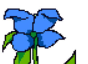 Animación de una planta en crecimiento Animación de una planta en crecimiento