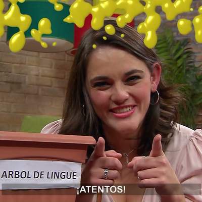 AprendoTV 2021 - 1° y 2° básico - Capítulo 47: Una planta para mi curso AprendoTV 2021 - 1° y 2° básico - Capítulo 47: Una planta para mi curso