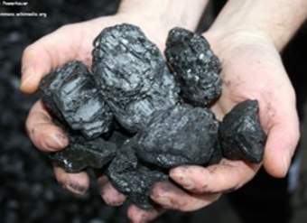 Carbón Carbón