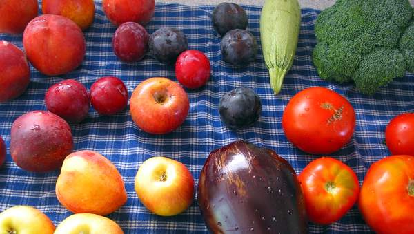 Variedad de frutas Variedad de frutas