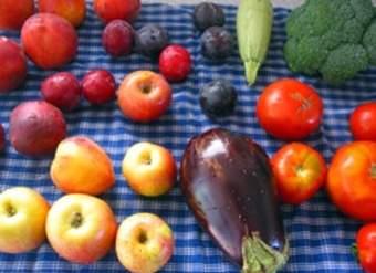 Variedad de frutas Variedad de frutas