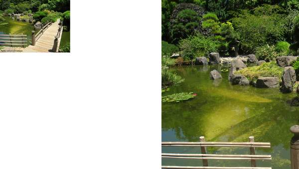 Jardín japonés Jardín japonés