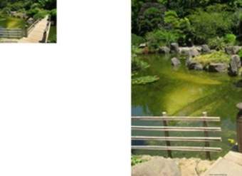 Jardín japonés Jardín japonés