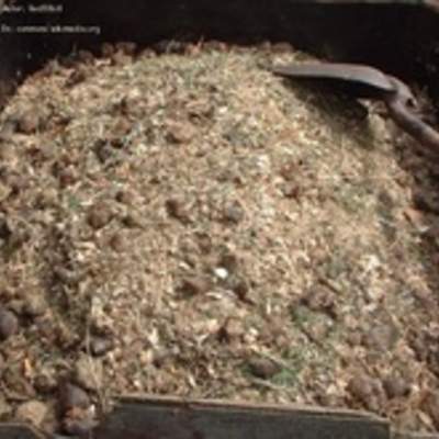 Compost Compost