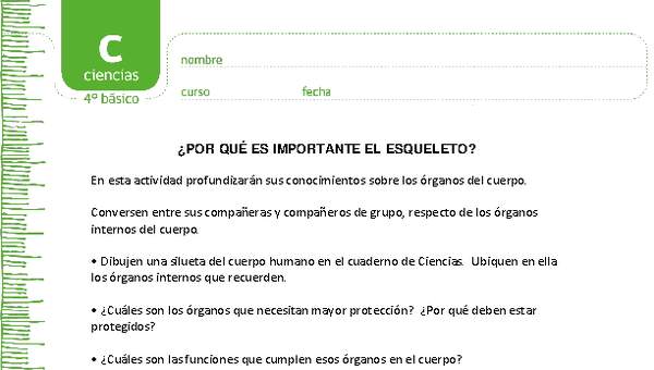 ¿Por qué es importante el esqueleto? ¿Por qué es importante el esqueleto?