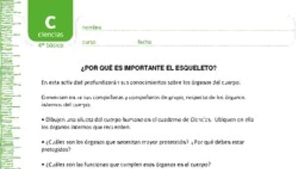 ¿Por qué es importante el esqueleto? ¿Por qué es importante el esqueleto?