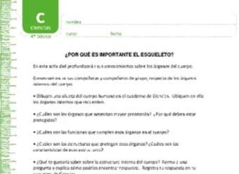 ¿Por qué es importante el esqueleto? ¿Por qué es importante el esqueleto?