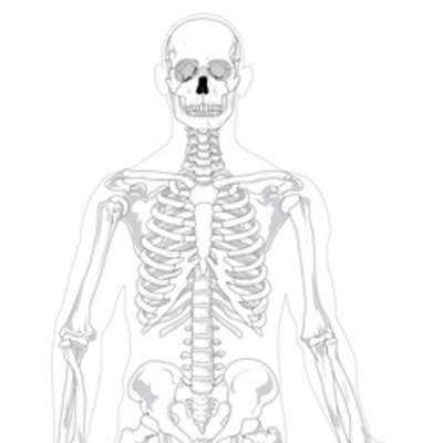 Esqueleto humano para colorear Esqueleto humano para colorear