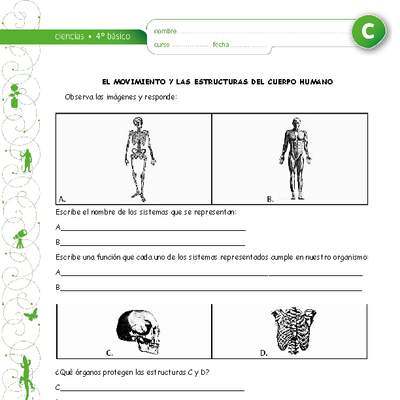 El movimiento y los sistemas del cuerpo El movimiento y los sistemas del cuerpo