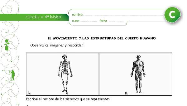 El movimiento y los sistemas del cuerpo El movimiento y los sistemas del cuerpo