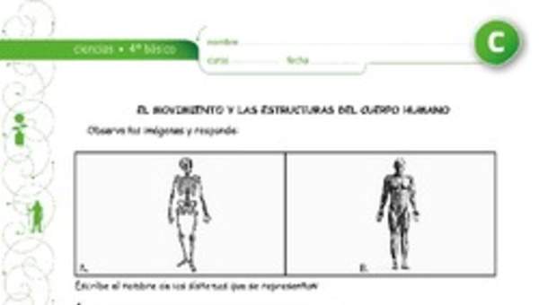 El movimiento y los sistemas del cuerpo El movimiento y los sistemas del cuerpo