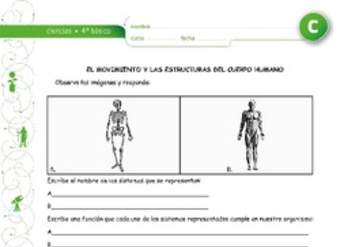 El movimiento y los sistemas del cuerpo El movimiento y los sistemas del cuerpo