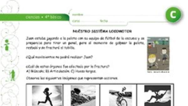 Nuestro sistema locomotor Nuestro sistema locomotor