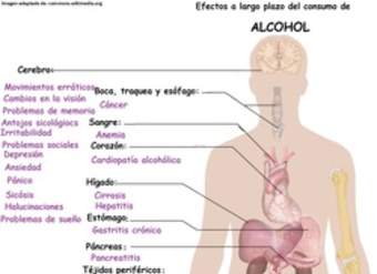 Imagen con información sobre los efectos a largo plazo del alcohol Imagen con información sobre los efectos a largo plazo del alcohol