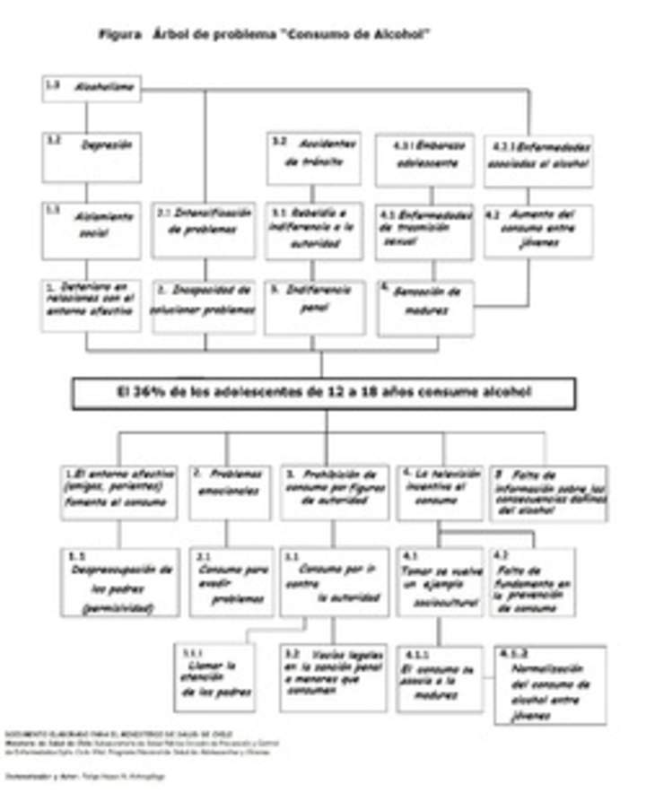Mapa conceptual de problemas asociados con el alcohol elaborado por el ministerio de salud de chile Mapa conceptual de problemas asociados con el alcohol elaborado por el ministerio de salud de chile
