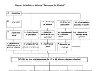 Mapa conceptual de problemas asociados con el alcohol elaborado por el ministerio de salud de chile Mapa conceptual de problemas asociados con el alcohol elaborado por el ministerio de salud de chile
