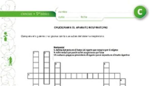 Crucigrama respiratorio Crucigrama respiratorio