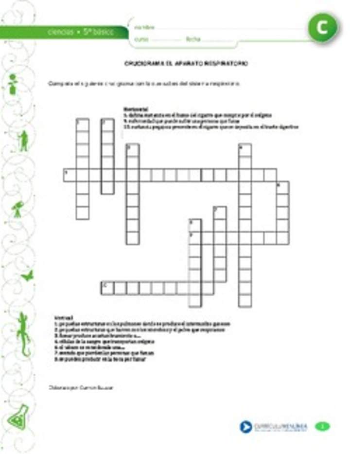 Crucigrama respiratorio Crucigrama respiratorio