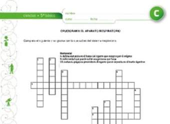 Crucigrama respiratorio Crucigrama respiratorio