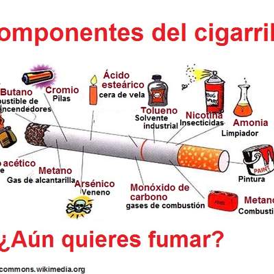 Infografía componentes del cigarrillo Infografía componentes del cigarrillo