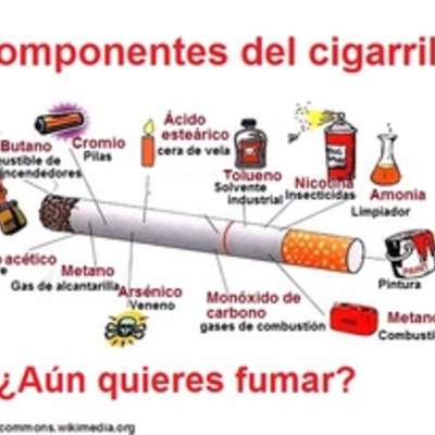 Infografía componentes del cigarrillo Infografía componentes del cigarrillo