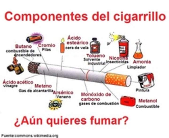 Infografía componentes del cigarrillo Infografía componentes del cigarrillo