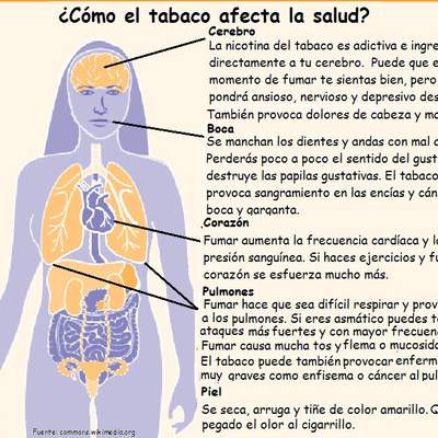 Infografía sobre como el tabaco afecta la salud Infografía sobre como el tabaco afecta la salud