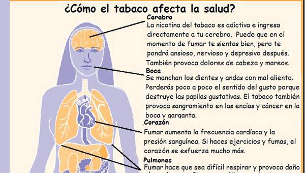 Infografía sobre como el tabaco afecta la salud Infografía sobre como el tabaco afecta la salud