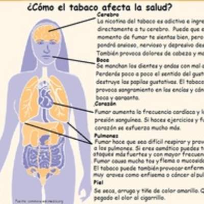 Infografía sobre como el tabaco afecta la salud Infografía sobre como el tabaco afecta la salud