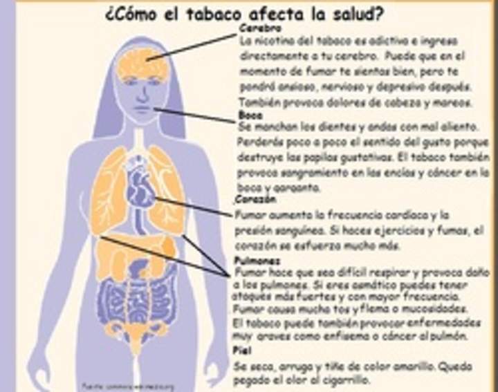 Infografía sobre como el tabaco afecta la salud Infografía sobre como el tabaco afecta la salud