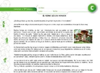 El reino de los hongos El reino de los hongos