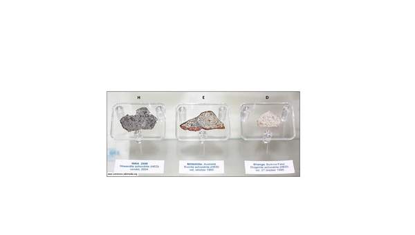 Muestras de pedazos de meteoritos Muestras de pedazos de meteoritos